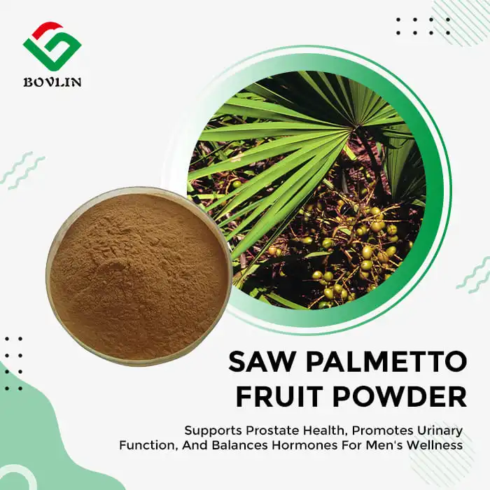 Saw Palmetto Fruit Extract Powder